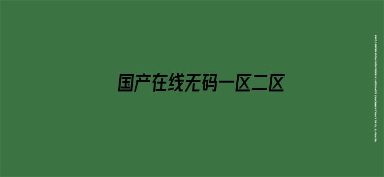 >国产在线无码一区二区横幅海报图