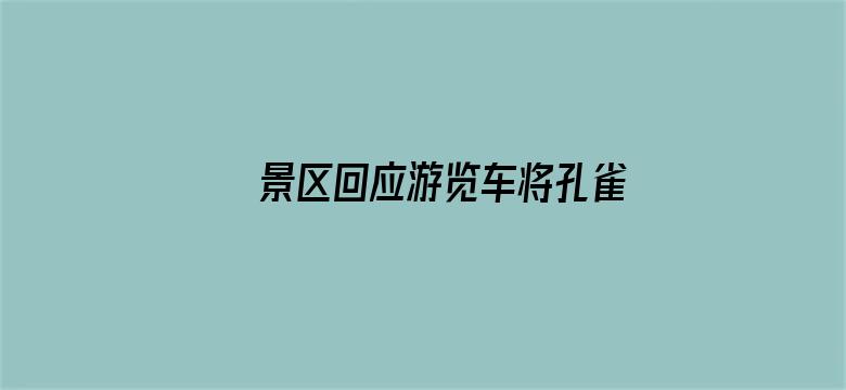 景区回应游览车将孔雀碾压致死